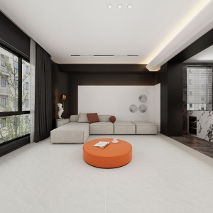 600X600SYL62H09L