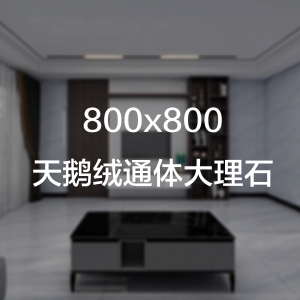  维斯朗800X800柔光天鹅绒实物图