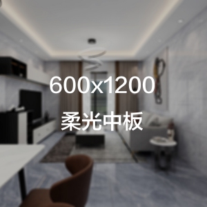  维斯朗600X1200柔光中板实物图