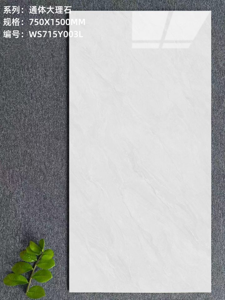 WS715Y003L.jpg