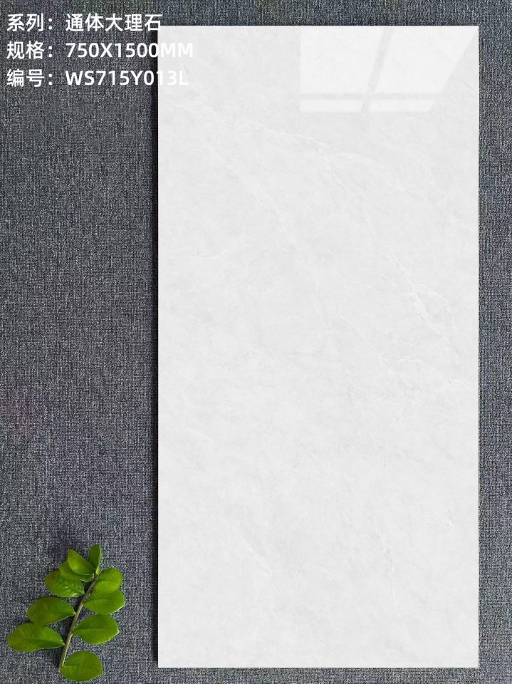 WS715Y013L.jpg
