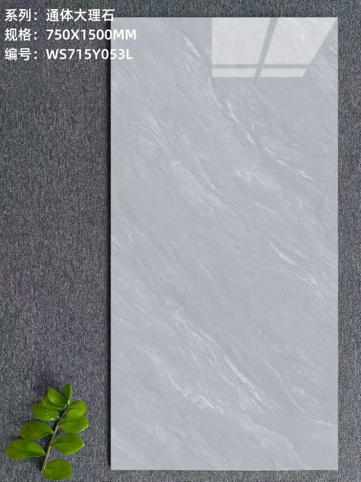 WS715Y053L.jpg