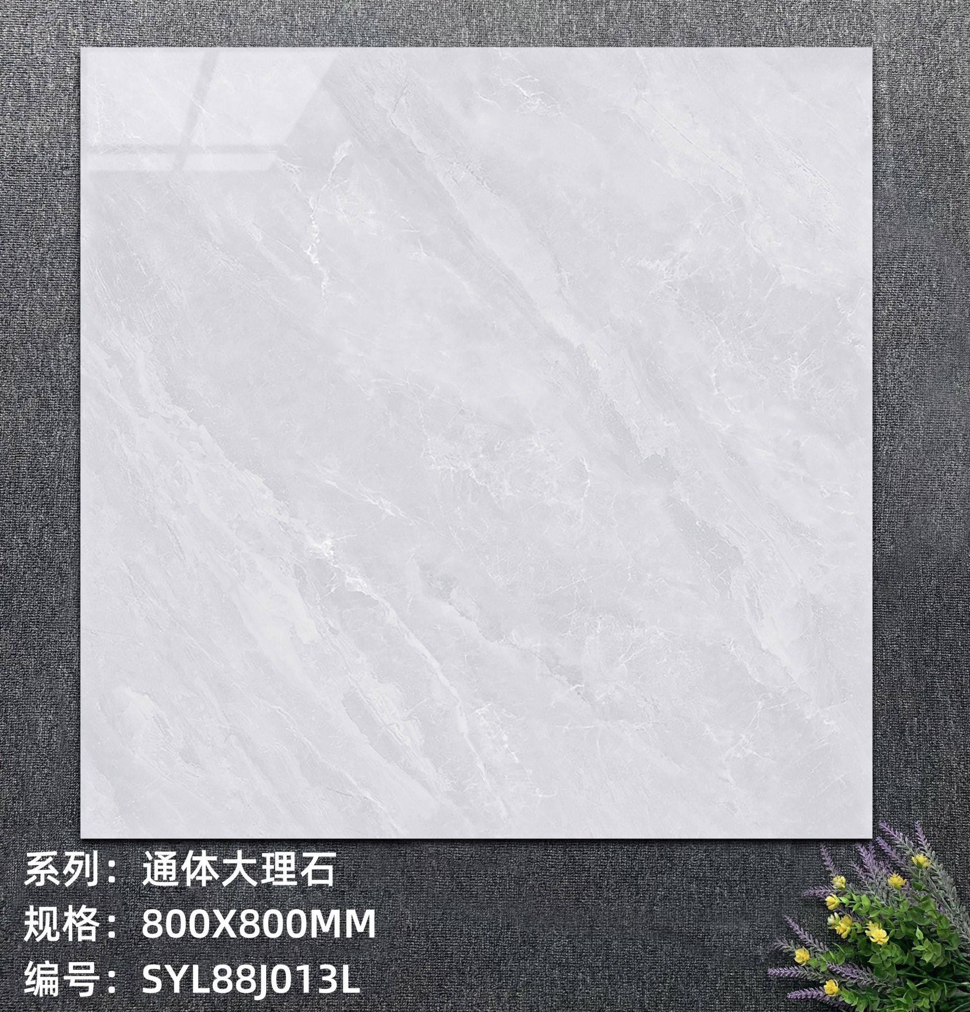 SYL88J013L.jpg