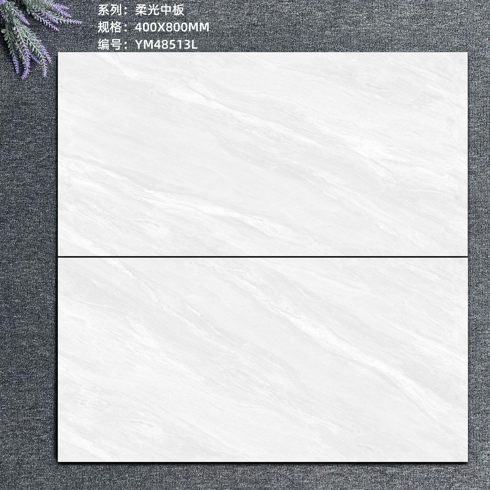YM48513L.jpg
