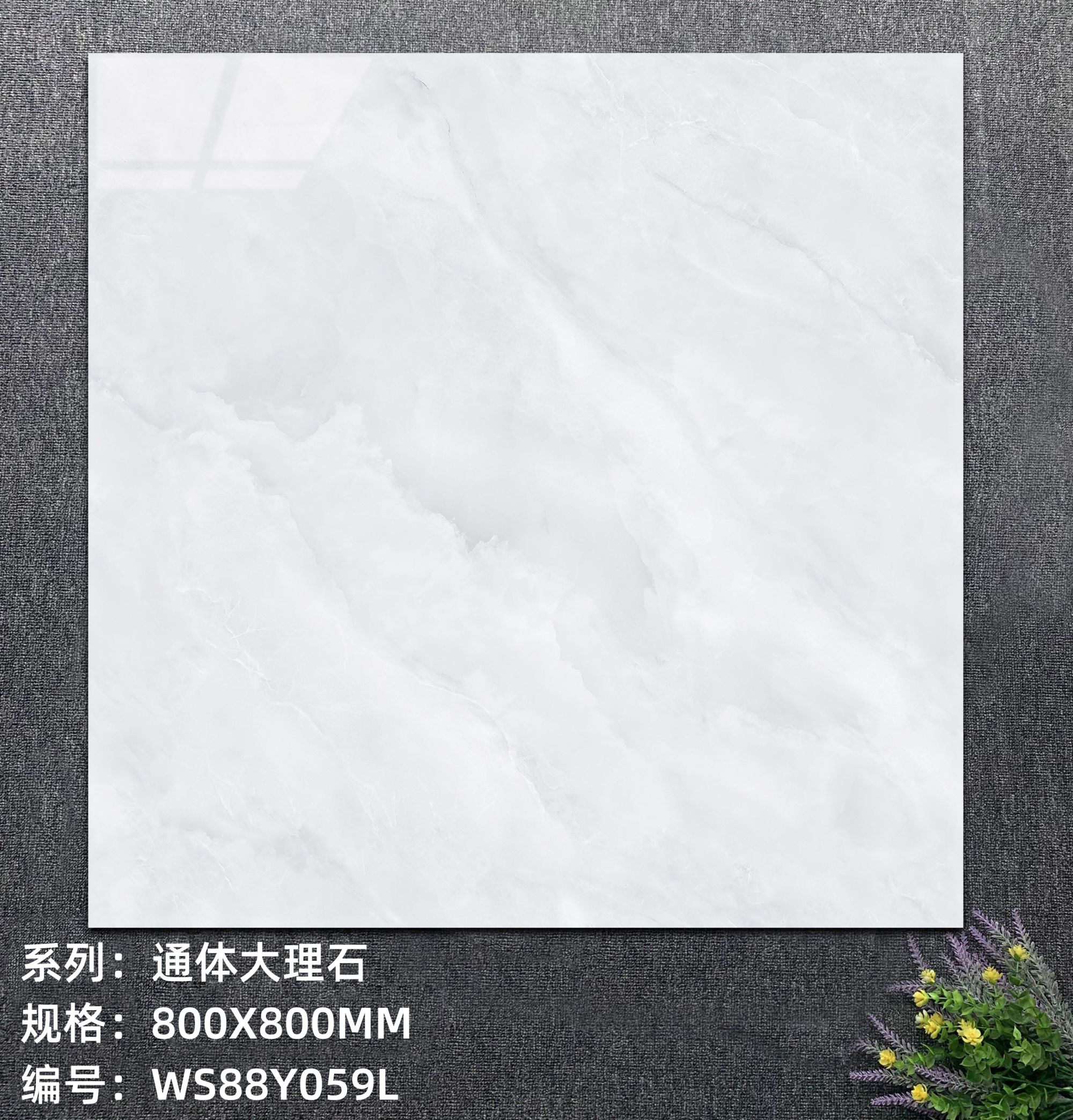 WS88Y059L（无黄线）.jpg