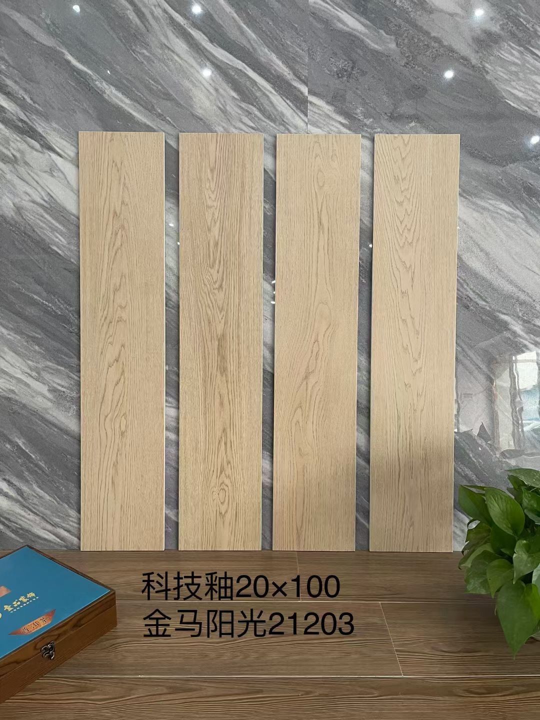 金马阳光21203.JPG