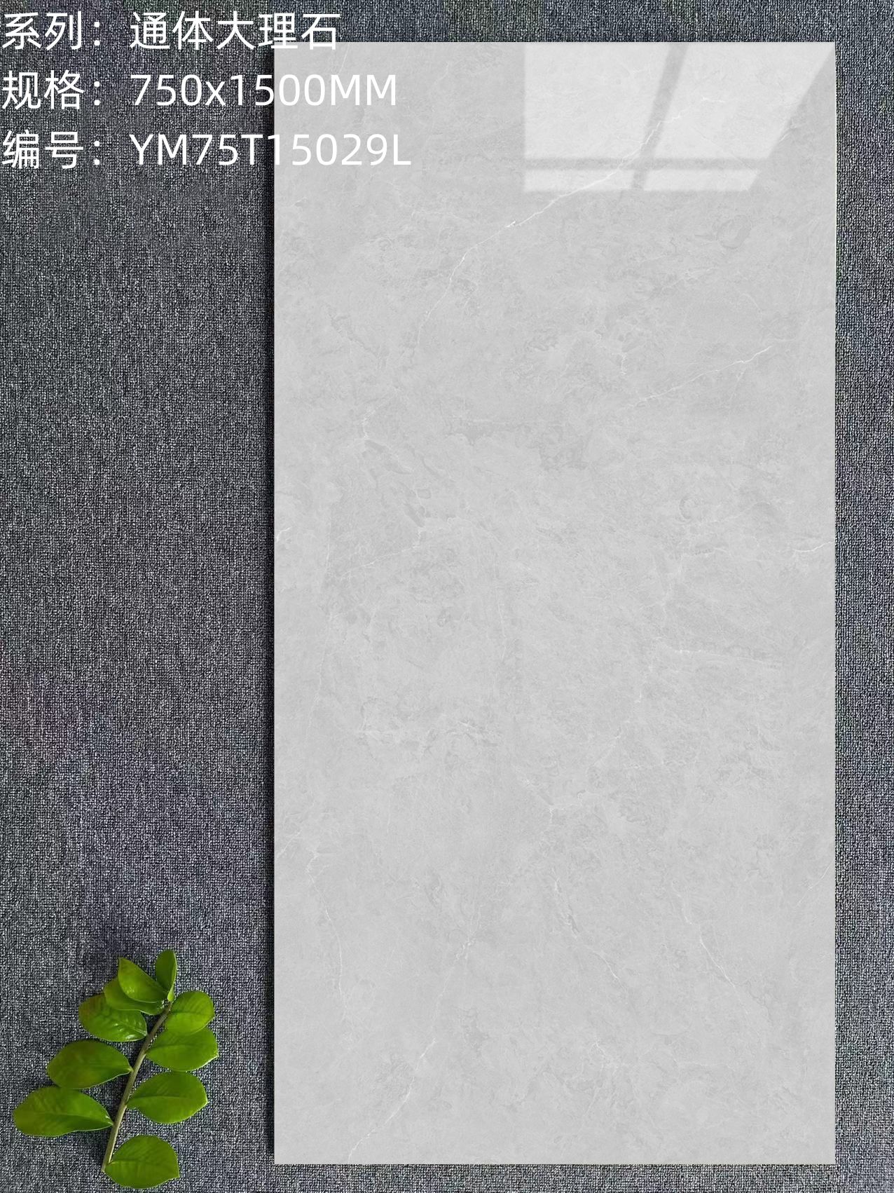 YM75T15029L_副本.jpg
