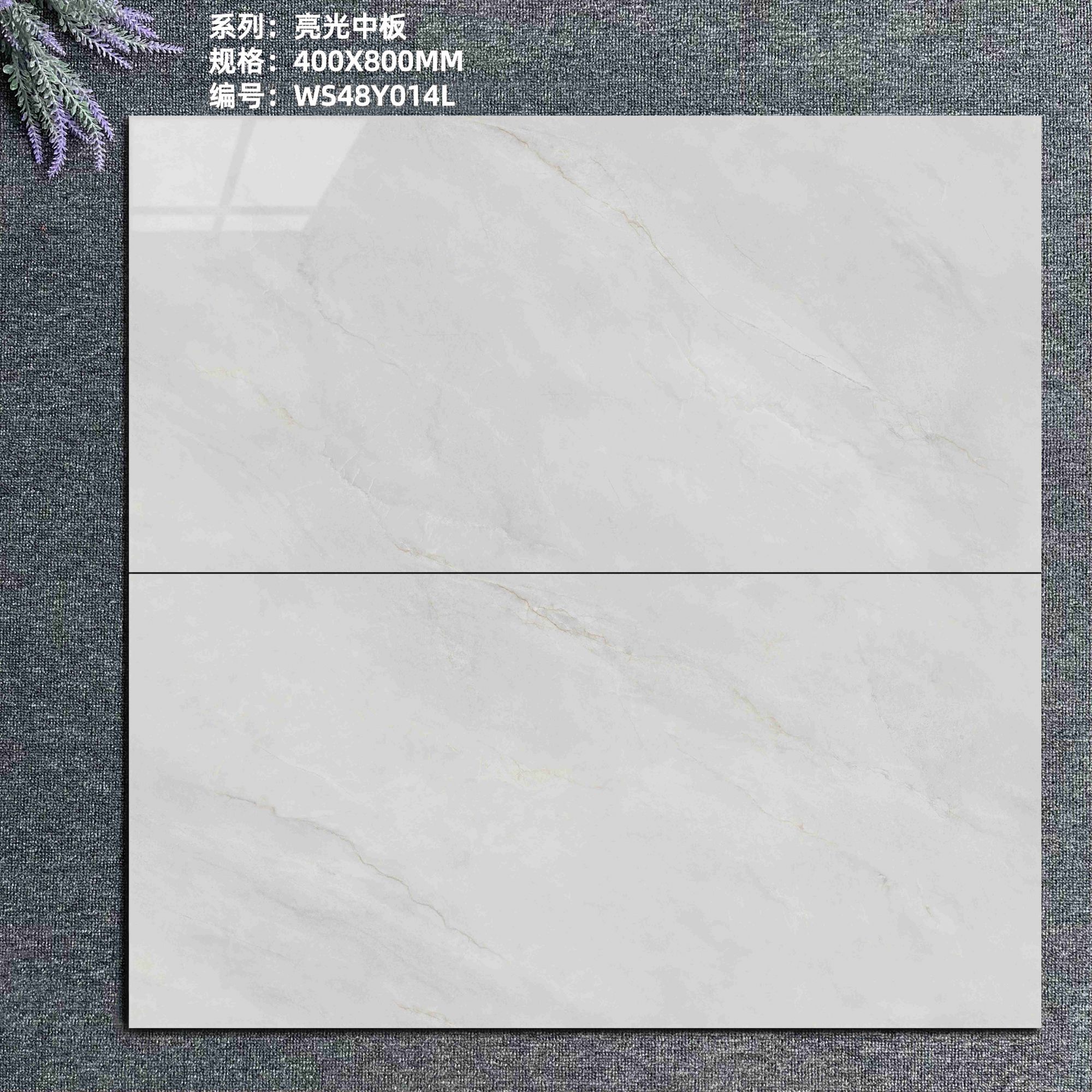 WS48Y014L_new.jpg