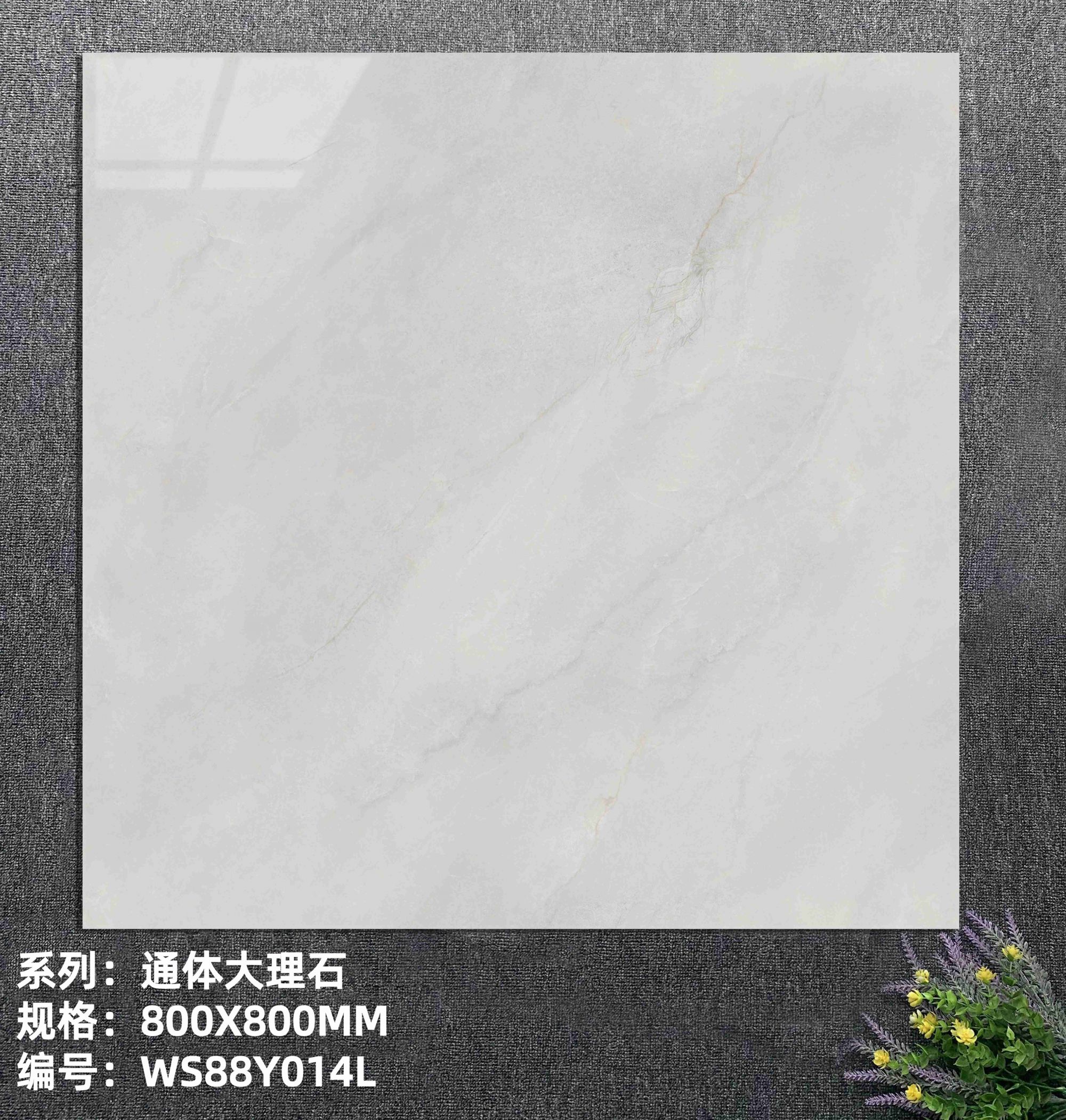 WS88Y014L_new.jpg
