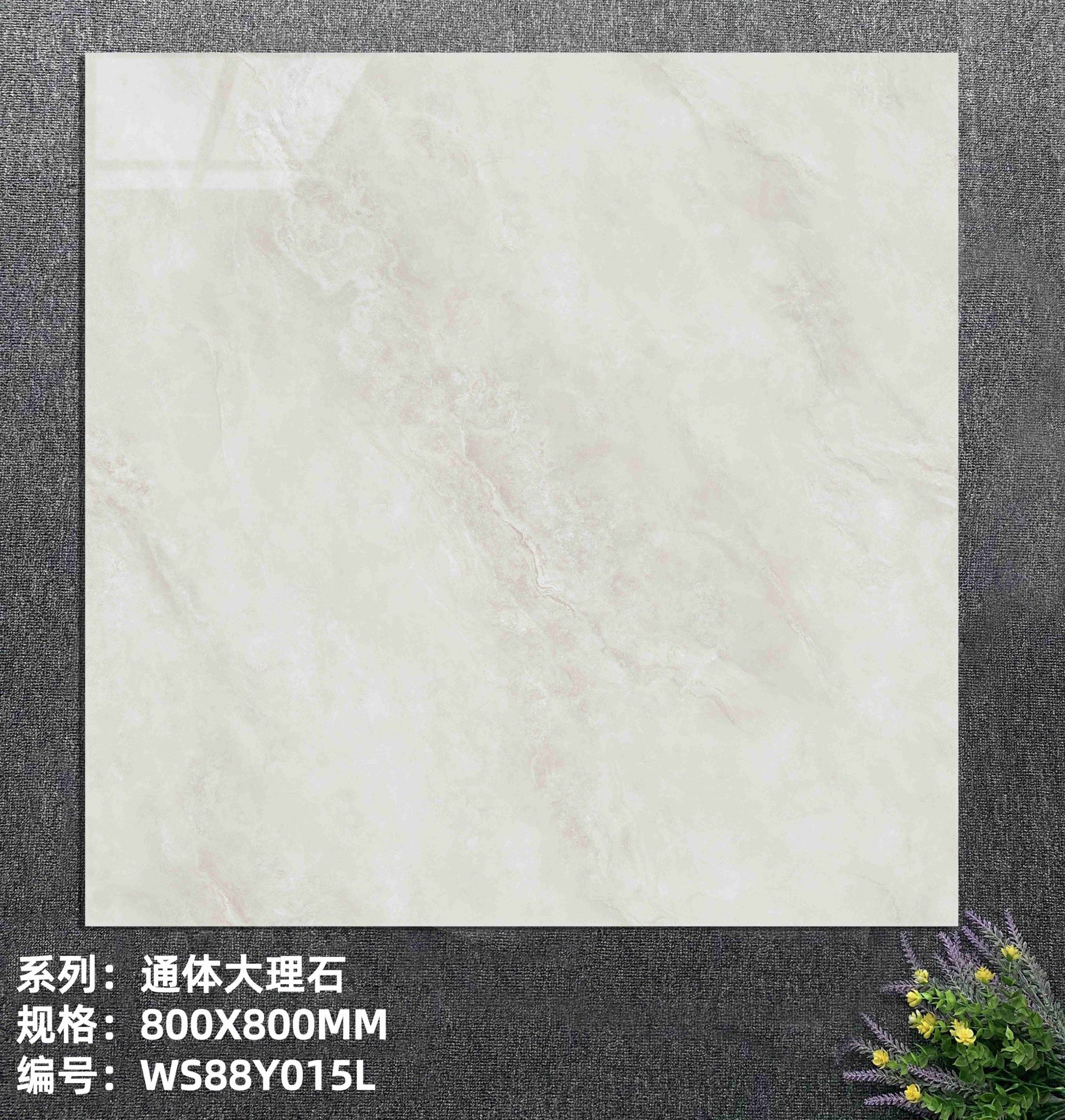 WS88Y015L_new.jpg