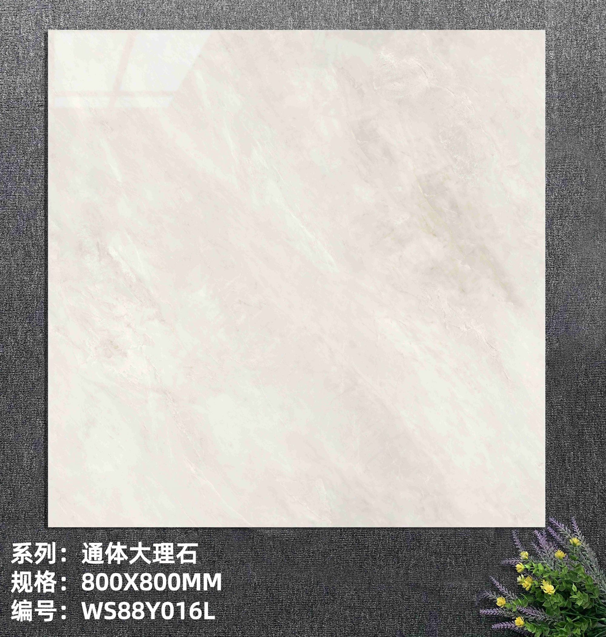 WS88Y016L_new.jpg