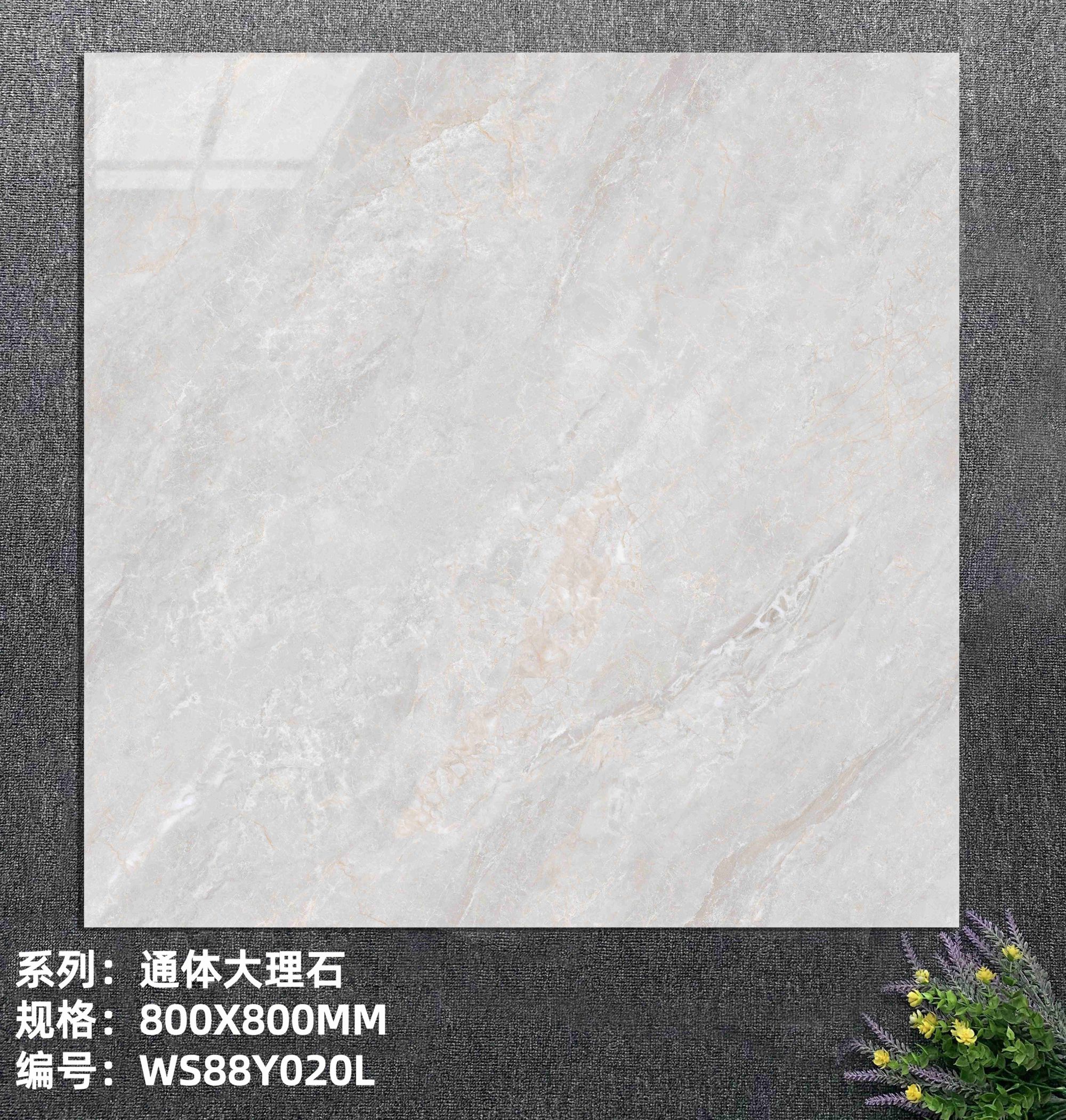 WS88Y020L_new.jpg