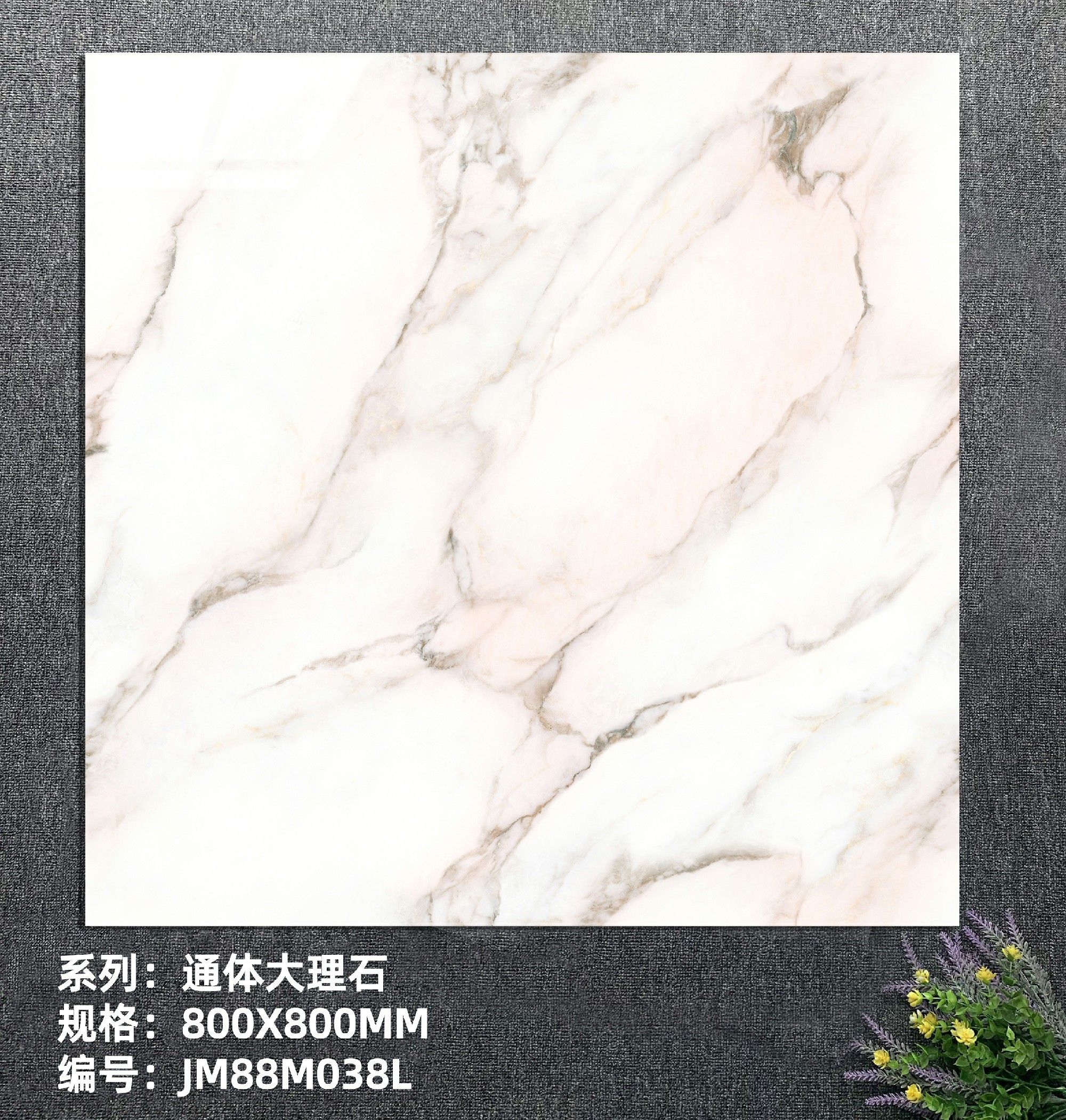 JM88M038L.jpg